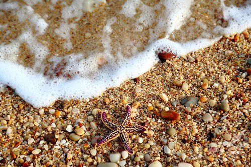 出海喂鳥吃海鮮 山東長島讓你玩到爽