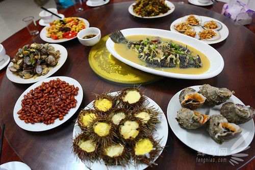 出海喂鳥吃海鮮 山東長島讓你玩到爽
