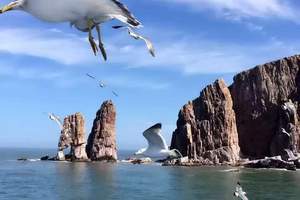 夏天帶孩子去海邊玩—長島漁家樂，九丈崖望夫礁半月灣純玩二日游