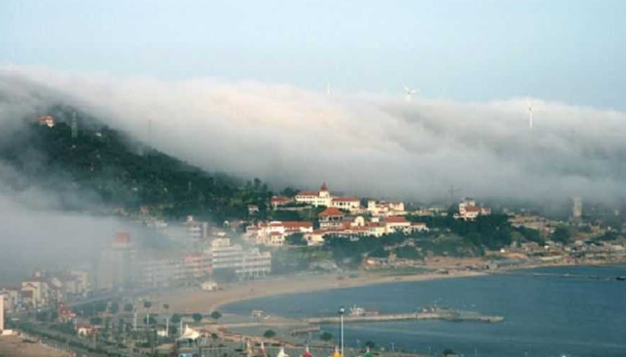 悅讀丨發(fā)現(xiàn)長島，發(fā)現(xiàn)愛！即便是散步都是美好的