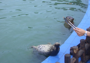 膠東游之海上仙山—長(zhǎng)島 - 長(zhǎng)島人 - 長(zhǎng)島我的家鄉(xiāng)
