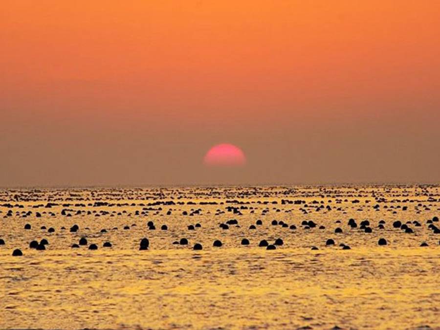 長(zhǎng)島砣磯島