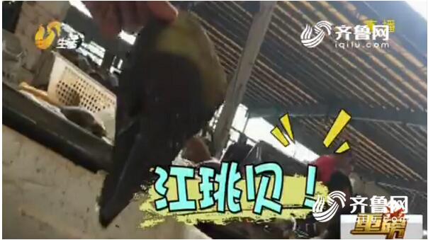 休漁期“偷捕”海鮮？煙臺違規(guī)漁船被查處