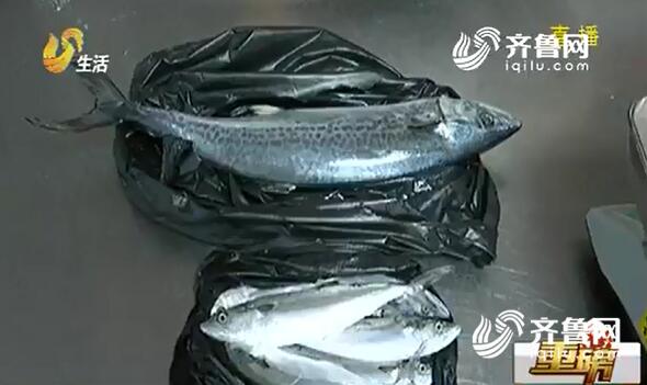 休漁期“偷捕”海鮮？煙臺違規(guī)漁船被查處