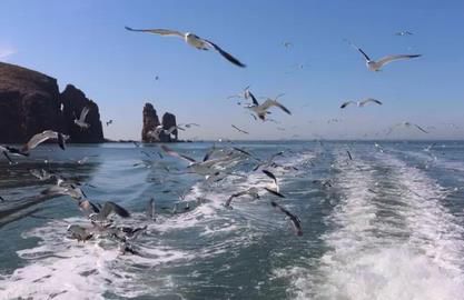 5.最佳季節(jié)