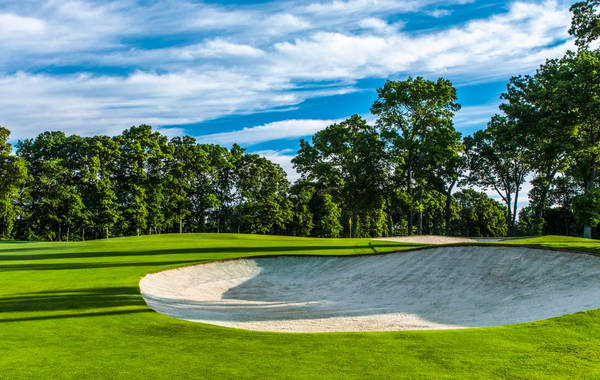 橡樹幽谷俱樂部（Glen Oaks Club）是2017年聯(lián)邦杯季后賽首場舉辦地，位于紐約長島舊西布雷（Old Westbury）。球場于1971年開業(yè)，由由喬·芬格(Joe Finger)設(shè)計(jì)。整個(gè)球由27洞組成，藍(lán)場的全部九個(gè)洞，白場的七個(gè)洞和紅場的兩個(gè)洞構(gòu)成了本次比賽的舉辦球洞，標(biāo)準(zhǔn)桿70桿，長度可以達(dá)到7346碼。