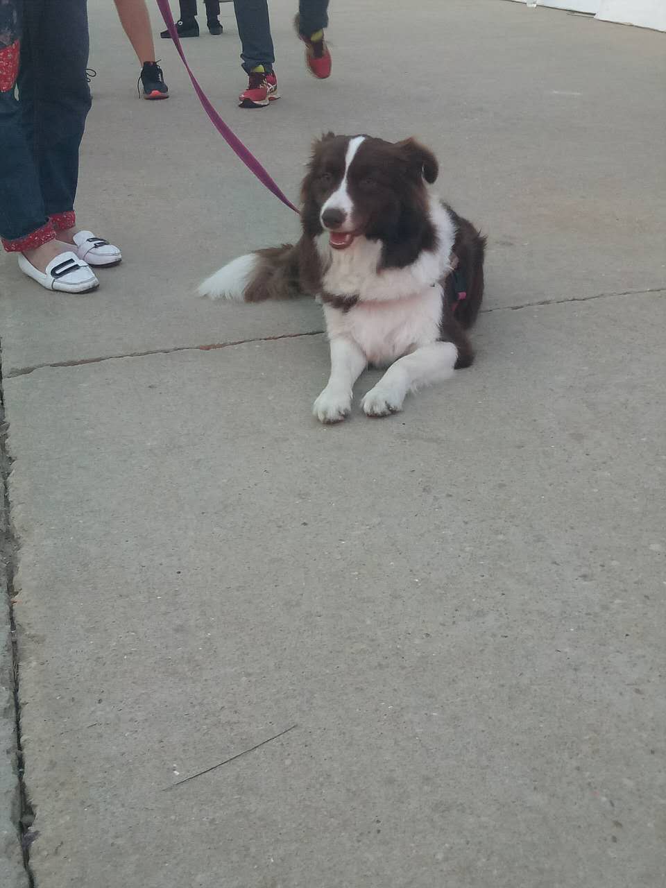 2017長島環(huán)島馬拉松完美收官 五大亮點最得跑者心