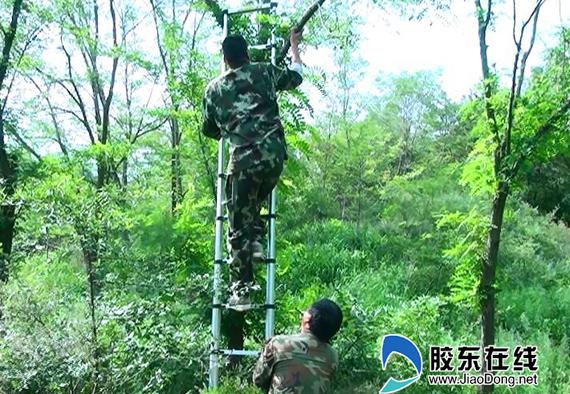 護(hù)鳥(niǎo)清網(wǎng)專項(xiàng)整治行動(dòng)