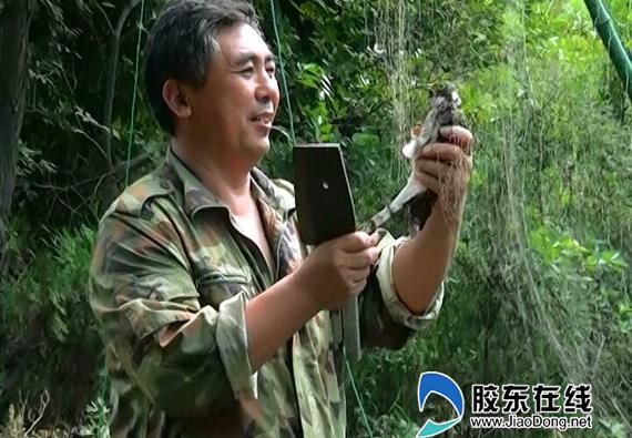 護(hù)鳥(niǎo)清網(wǎng)專項(xiàng)整治行動(dòng)