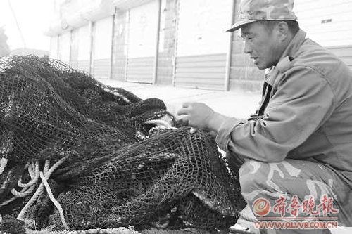 山東長(zhǎng)島大欽島魚死率猛增 疑為溢油惹禍(圖)
