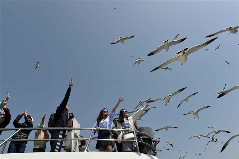 4月29日，游客在長島縣萬鳥島乘游船觀賞海鷗。