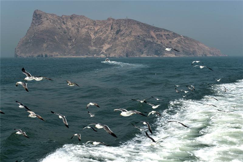 4月29日，游船駛過鷗鳥翔集的長島縣萬鳥島。