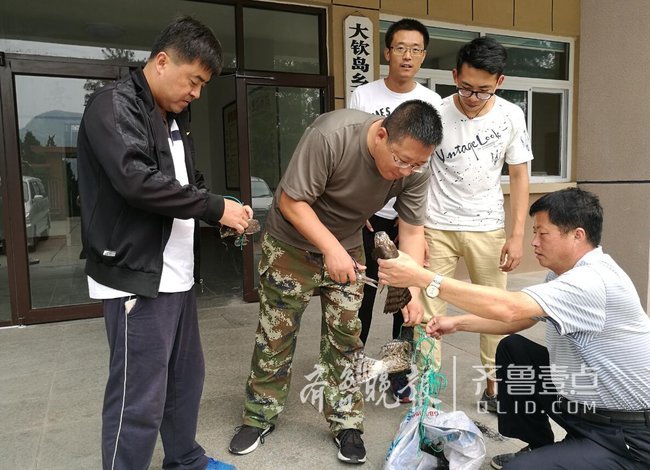 長(zhǎng)島縣大欽島鄉(xiāng)深化愛(ài)鳥(niǎo)月活動(dòng)，放飛猛禽10余只