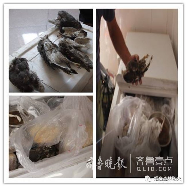 張網(wǎng)捕鳥,