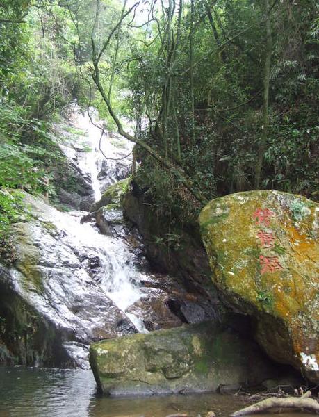 三明仙人谷國家森林公園圖片17