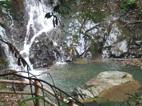 三明仙人谷國家森林公園圖片18