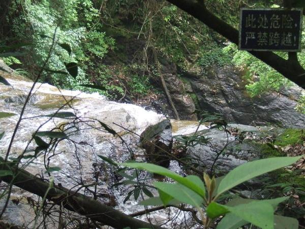 三明仙人谷國家森林公園圖片19