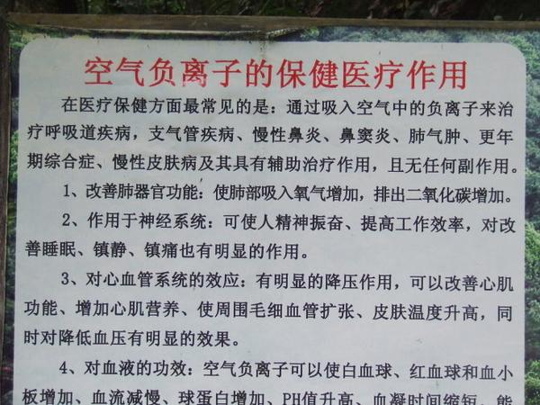 三明仙人谷國家森林公園圖片20