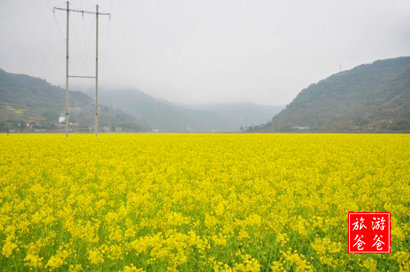半山園休閑農(nóng)莊