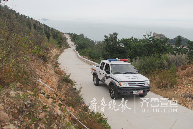 煙臺這座海島上蝮蛇成群，民警每天巡邏30公里