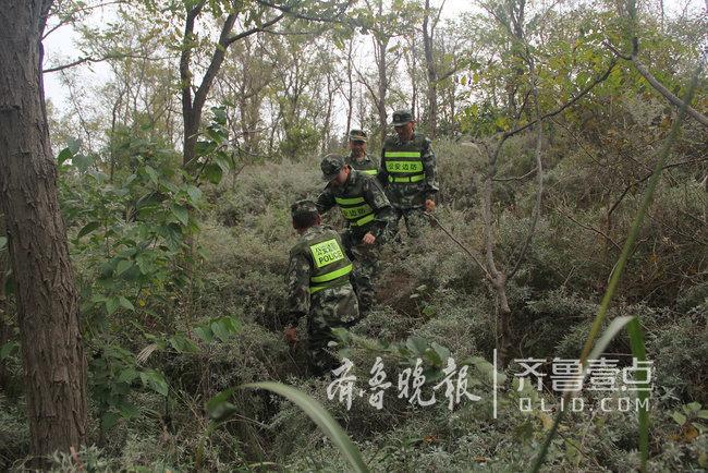 煙臺這座海島上蝮蛇成群，民警每天巡邏30公里