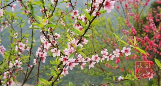 廈門長春谷愜意一日游