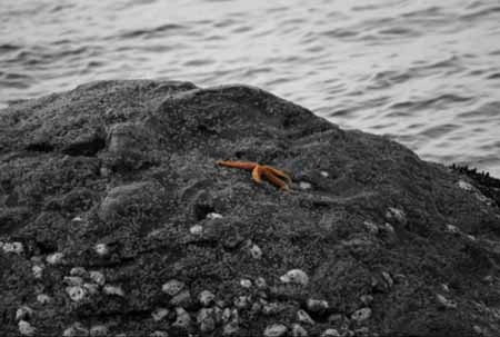 拍攝海之風(fēng)趣數(shù)碼單反相機(jī)砣磯島之行