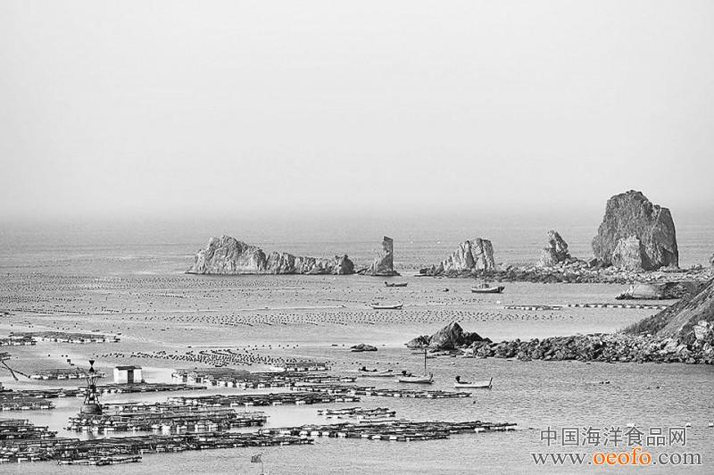 南城隍箱海產(chǎn)養(yǎng)殖場地