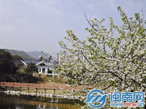 泉港后花園 紅星生態(tài)園1