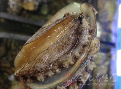 不新鮮海產(chǎn)品，避免食物中毒