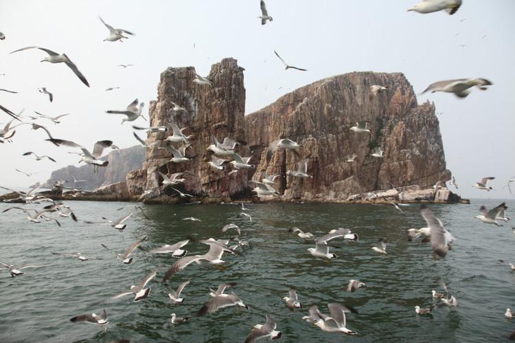 煙臺(tái) 蓬萊 長(zhǎng)島游 (一） - 山茱萸 - 我的博客