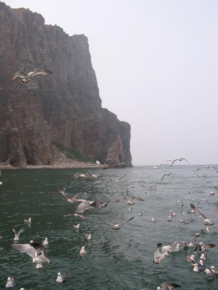 煙臺(tái) 蓬萊 長(zhǎng)島游 (一） - 山茱萸 - 我的博客