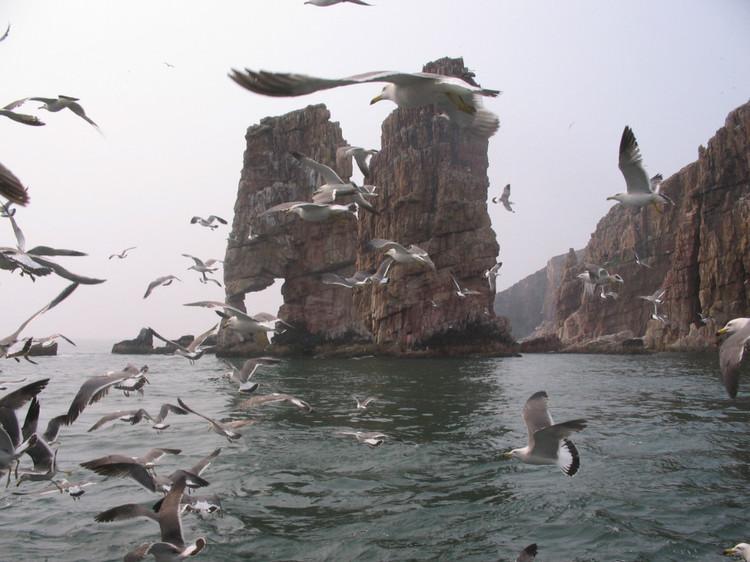 煙臺(tái) 蓬萊 長(zhǎng)島游 (一） - 山茱萸 - 我的博客