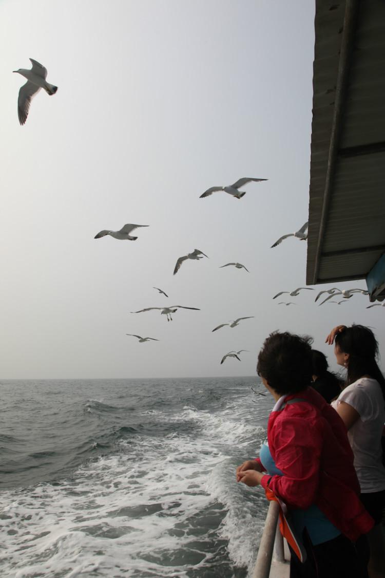 煙臺(tái) 蓬萊 長(zhǎng)島游 (一） - 山茱萸 - 我的博客