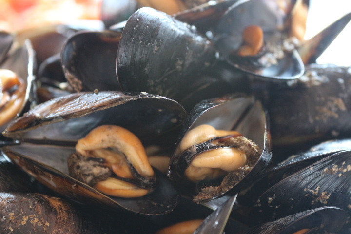 無與倫比的美味：長島國際度假區(qū)的海鮮盛宴 - 西園的貓 - 風從海面吹過來