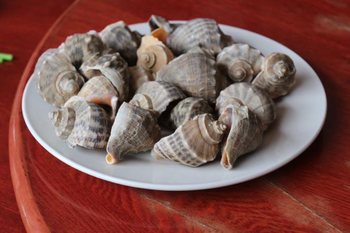 無與倫比的美味：長島國際度假區(qū)的海鮮盛宴 - 西園的貓 - 風從海面吹過來