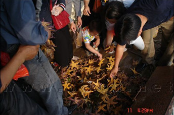 在長島體驗漁民海上生活 - 長島人 - 長島我的家鄉(xiāng)