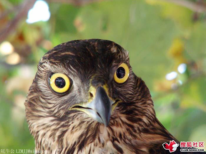 長(zhǎng)島峰山公園