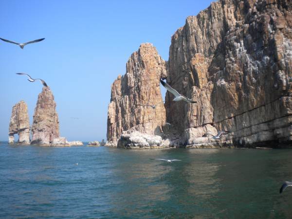 長(zhǎng)島萬(wàn)鳥(niǎo)島