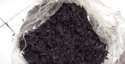 長(zhǎng)島紫菜