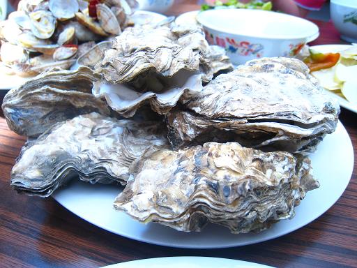 長(zhǎng)島巧玲漁家