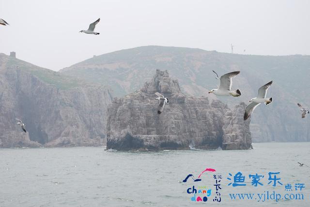 長(zhǎng)島萬(wàn)鳥島