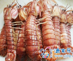 長(zhǎng)島雅欣漁家樂