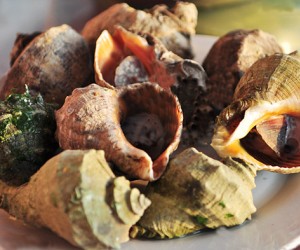 長島福海漁家樂