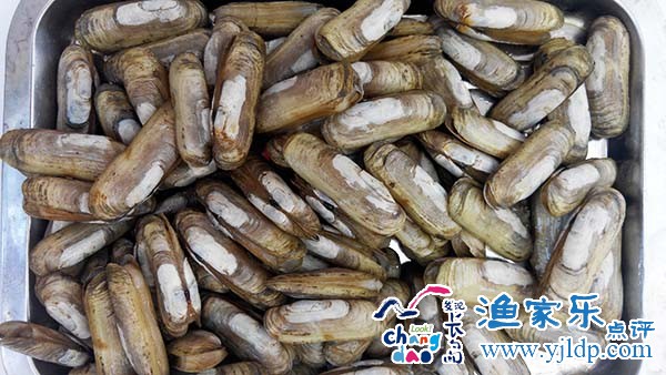 QQ圖片20150709181655