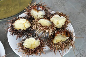 長島福愛漁家樂