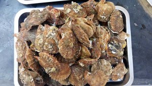 長島?？图覉@漁家樂