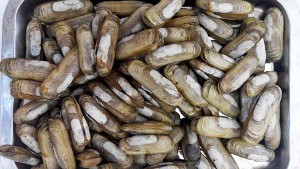 QQ圖片20150709181655