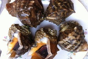 長(zhǎng)島海鮮