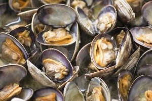 長(zhǎng)島海鮮